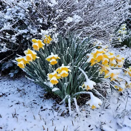 Friesenhaus Nahe Wattenmeer Welterbe *